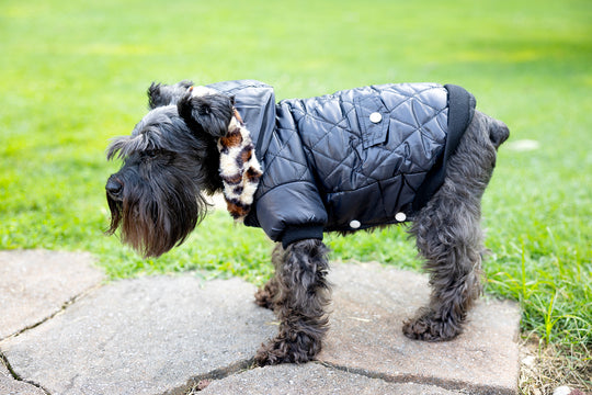 Dog jacket for cold weather, black dog coat with banded arms
