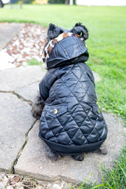 Dog puffer coat in black