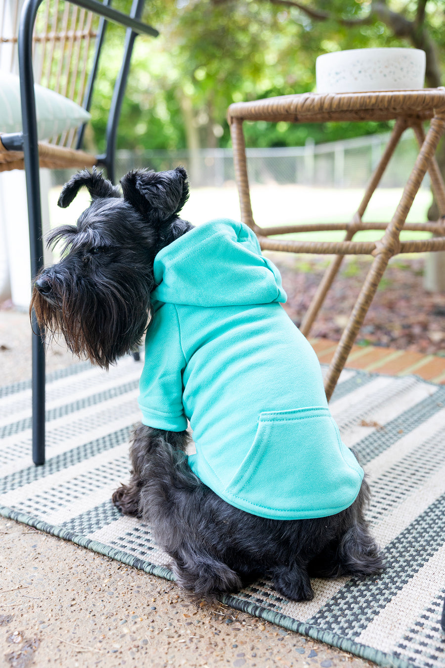 Dog sweatshirt in teal back view