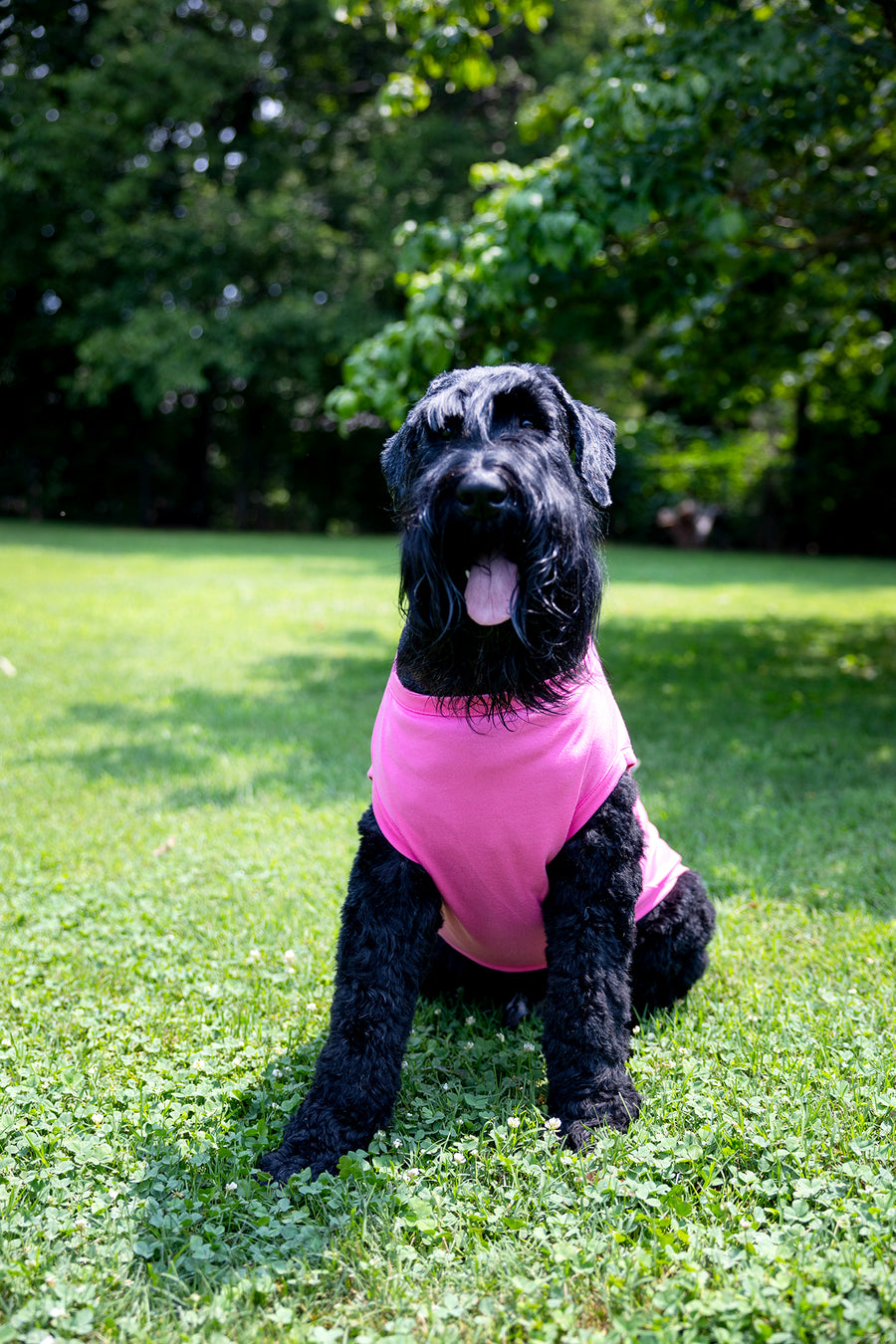Plain Pet T Shirt for DIY in Pink
