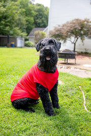 dog tank in red side view sitting position