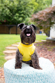 dog tee shirt in yellow, dog tank yellow, showing front chest with dog sleeveless tank