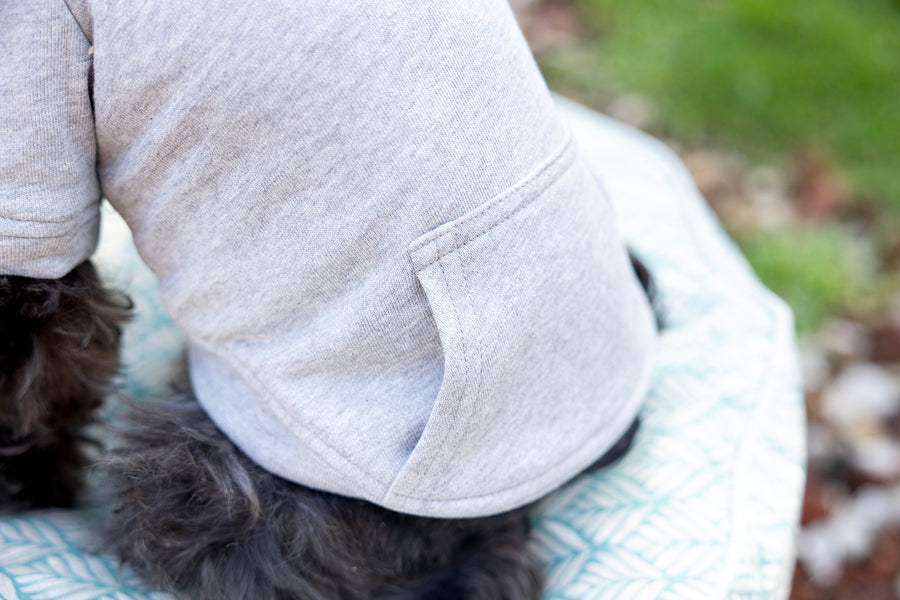 grey dog sweatshirt shows close up large pocket.