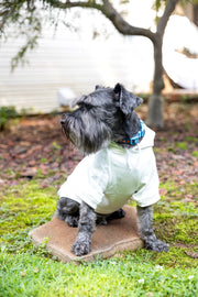 1st Birthday Shirt for Dog for Party Custom Year