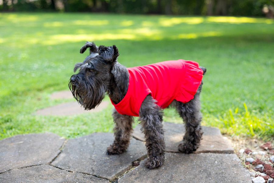 Red Dog Dress for Birthday Party for Medium Dog to Help with Shedding