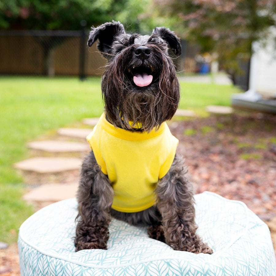 Custom Pet Shirt in Yellow to Create Your Own Design