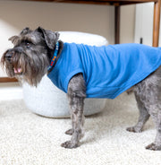 Sibling Dog Shirt in Blue for Big Brother