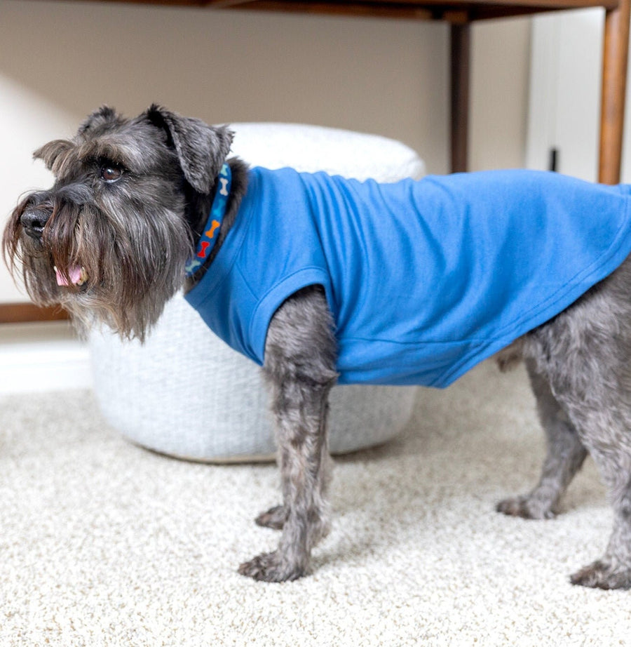 Personalized Dog Shirt for Dog Owner Monogram Pet Tee in Blue