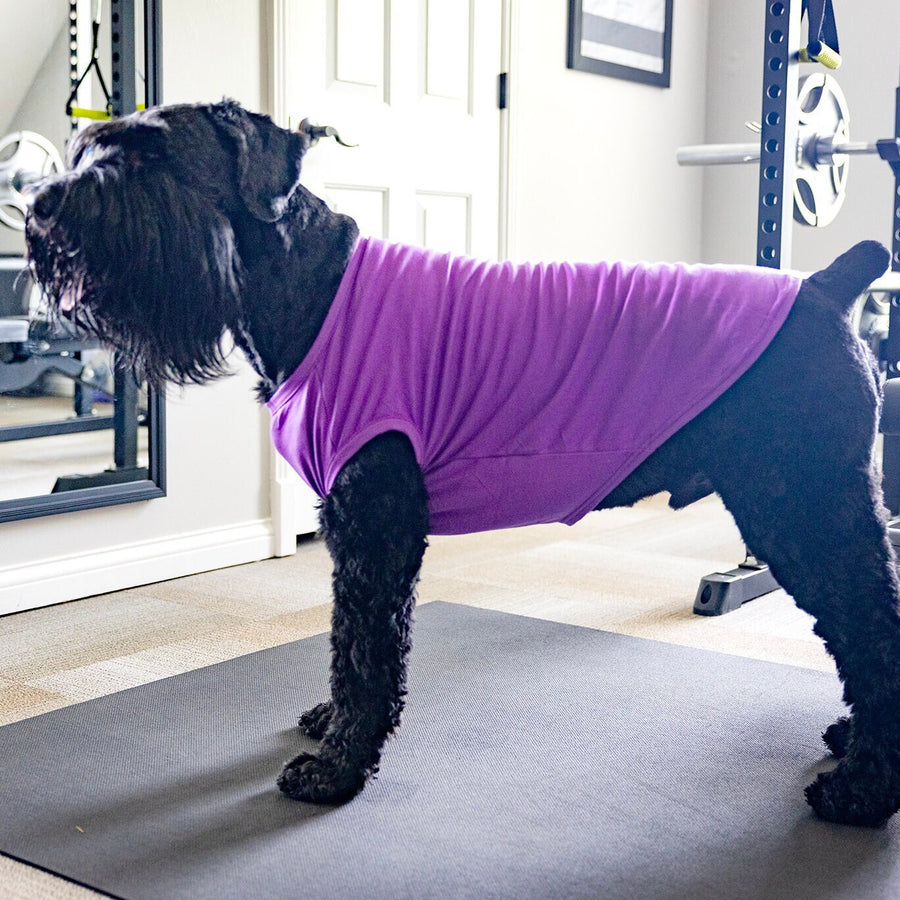 Funny Dog Shirt for Halloween to Help Separation Anxiety