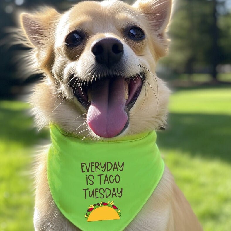 Custom Dog Bandana With Your Design