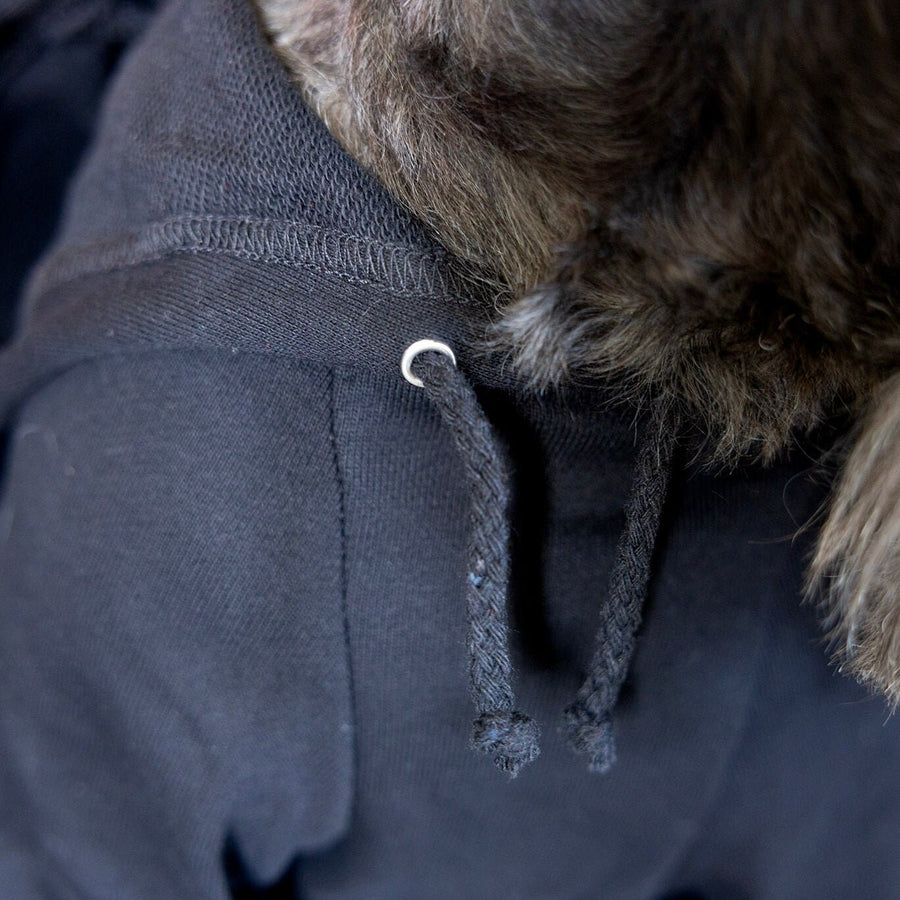 Personalized Dog Hoodie to Keep Clean at Dog Park