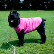 Sister Dog Shirt in Pink for Sibling Pet Tank for Girl Dog