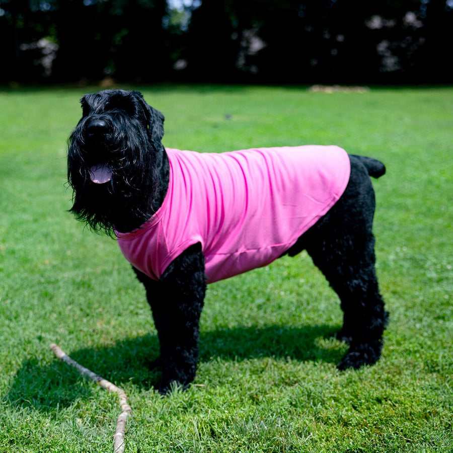 Dog Tee for Reveal Sibling Party Pet Shirt in Pink