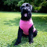 Sister Dog Shirt in Pink for Sibling Pet Tank for Girl Dog