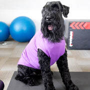 Funny Dog Shirt for Halloween to Help Separation Anxiety