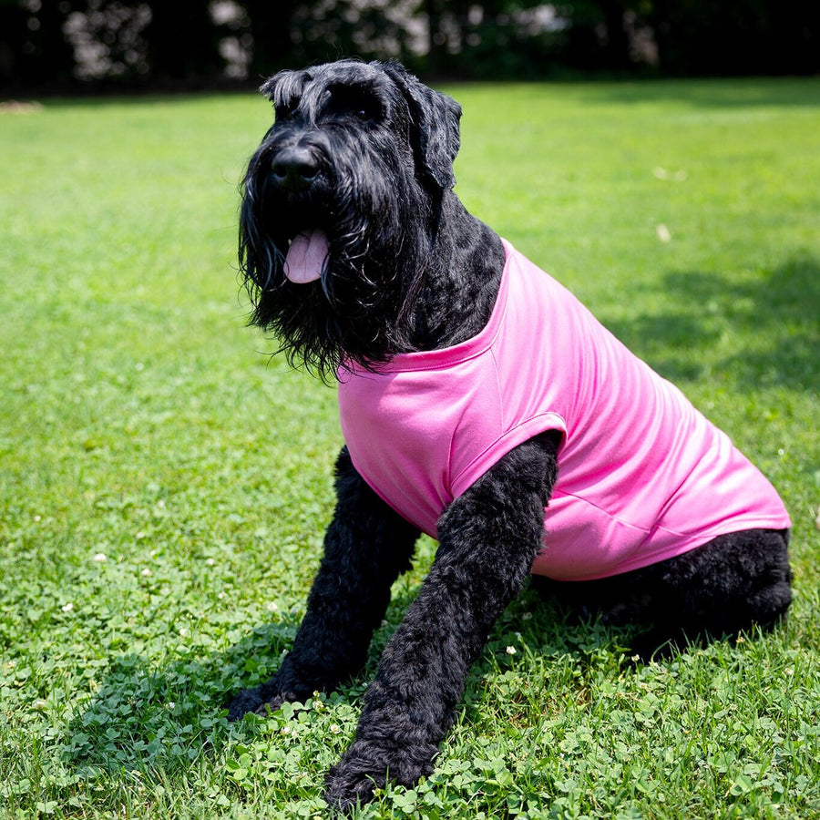 Girl Dog Shirt for Daddys Girl Dog Top for Fathers Day Gift for Dog Dad Daughter Tee for Pet Clothes Pink Dog Tank for New Puppy Tshirt