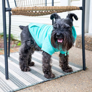 Easter Dog Shirt in Teal