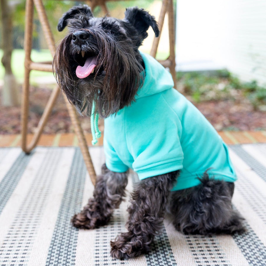 Custom Dog Sweatshirt for Pet Shirt in Teal