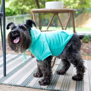 Easter Dog Shirt in Teal