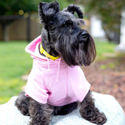 Pink Breast Cancer Supporter Dog Hoodie