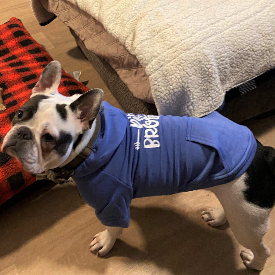 Big Brother Dog Hoodie – Blue Retro Design XL Sibling Shirt for Adoption Reveal