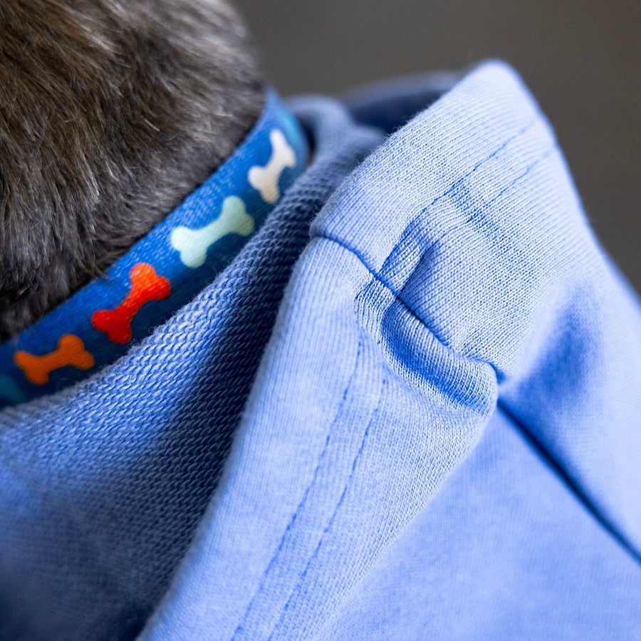 Big Brother Dog Hoodie – Blue Retro Design XL Sibling Shirt for Adoption Reveal