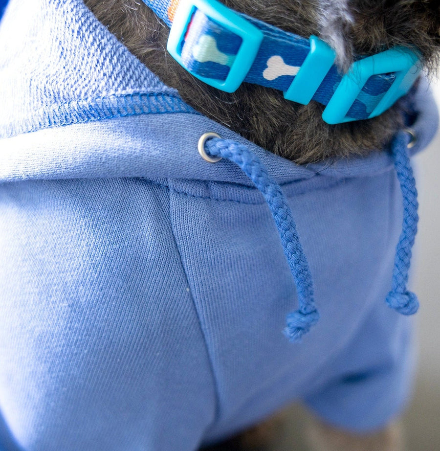 Big Brother Dog Hoodie – Blue Retro Design XL Sibling Shirt for Adoption Reveal