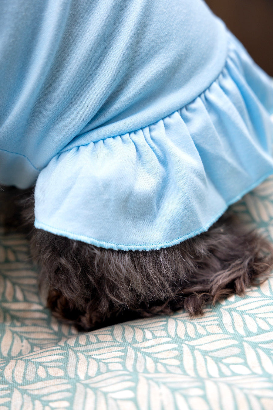 Dog Birthday Dress for Party Shirt for Girl Dog in Light Blue