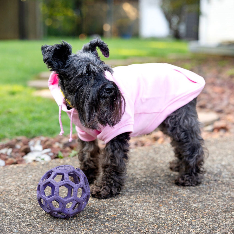 Big Sis Dog Hoodie – Pink Pet Outfit & Puppy Adoption Gift for Dog Mom