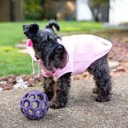 Lil Sis Dog Hoodie – Pink Puppy Outfit & Adoption Gift for Dog Mom