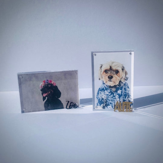 Personalized Pet Photo Frame Acrylic Custom Photo Dog Mom Gift Keepsake with Name Pet Lover Picture Frame Modern Dog Lover Photocard Holder