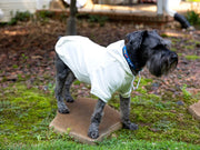 Personalized Dog Hoodie with Name Varsity Letter Chenille Patch Colorful Dog Shirt Monogram Tee for Pet Dog Lover Gift for Boy Dog Girl Coat