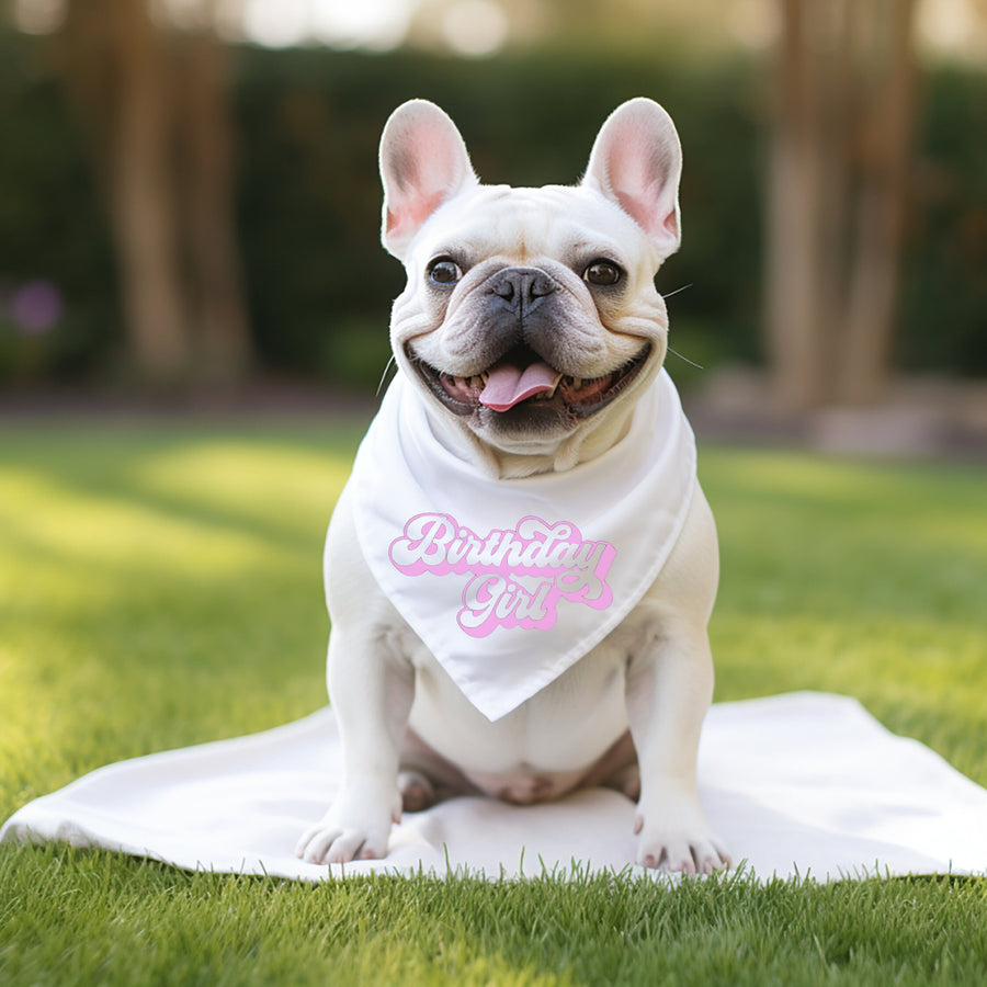 Birthday Bandana for Girl Dog