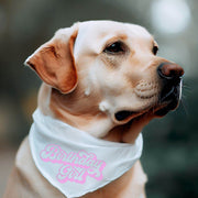 Birthday Bandana for Girl Dog