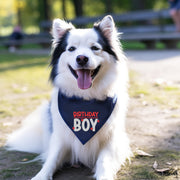 Birthday Bandana for Boy Dog