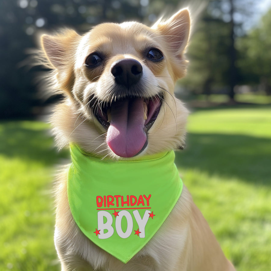 Birthday Bandana for Boy Dog