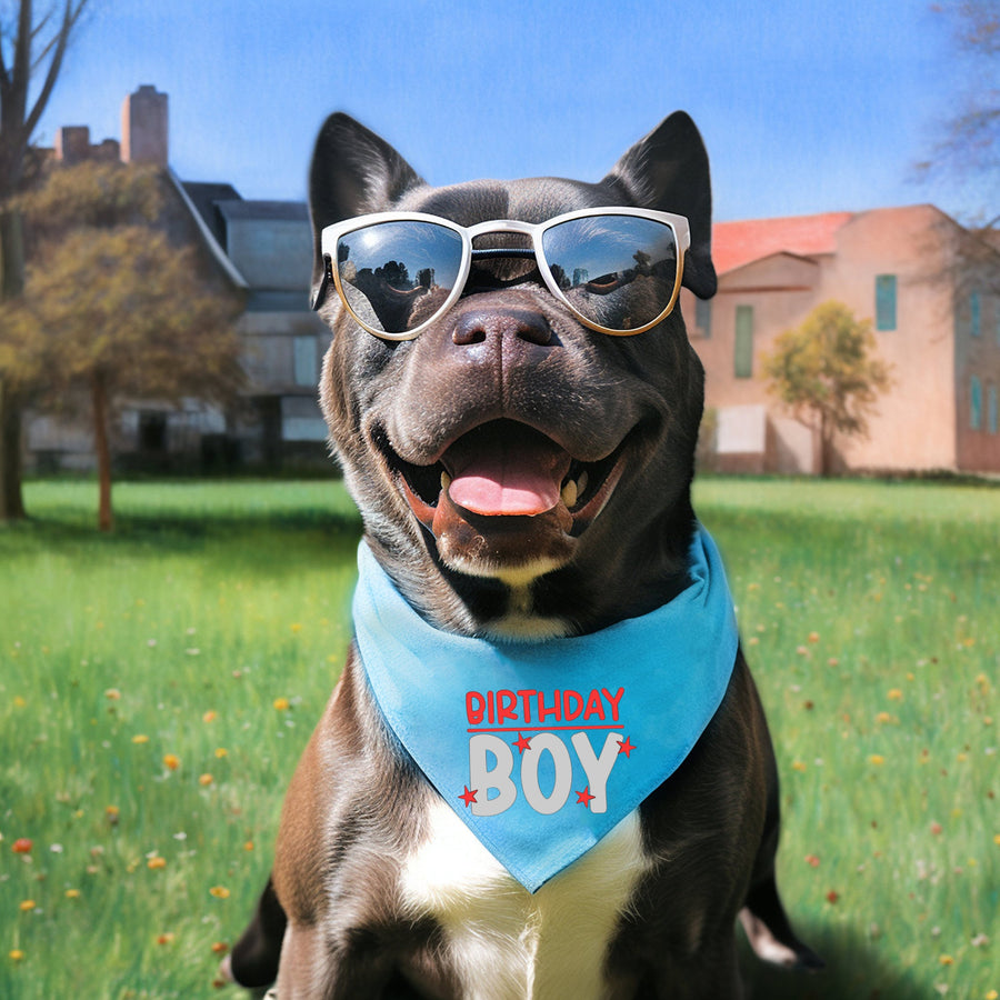 Birthday Bandana for Boy Dog