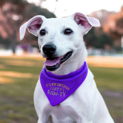 Birthday Dog Bandana for Pet Party