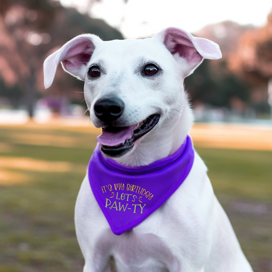 Birthday Dog Bandana for Pet Party