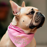 Birthday Dog Bandana for Pet Party