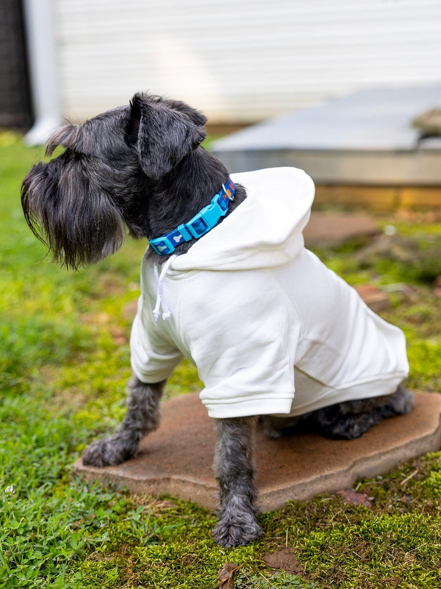 Personalized Dog Hoodie with Name Varsity Letter Chenille Patch Colorful Dog Shirt Monogram Tee for Pet Dog Lover Gift for Boy Dog Girl Coat