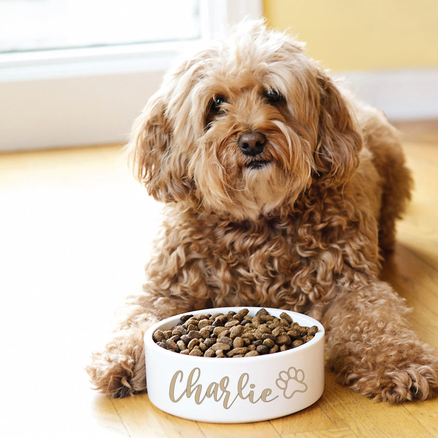 Gift for Dog Owner Pet Bowl with Custom Name and Paw