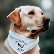 Baby Reveal Dog Bandana for Gender Reveal in Pink