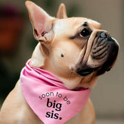 Baby Reveal Dog Bandana for Gender Reveal in Pink