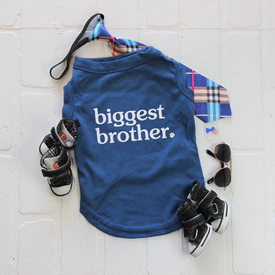 Blue Dog Shirt for Big Brother Sibling Tee for New Baby Announcement