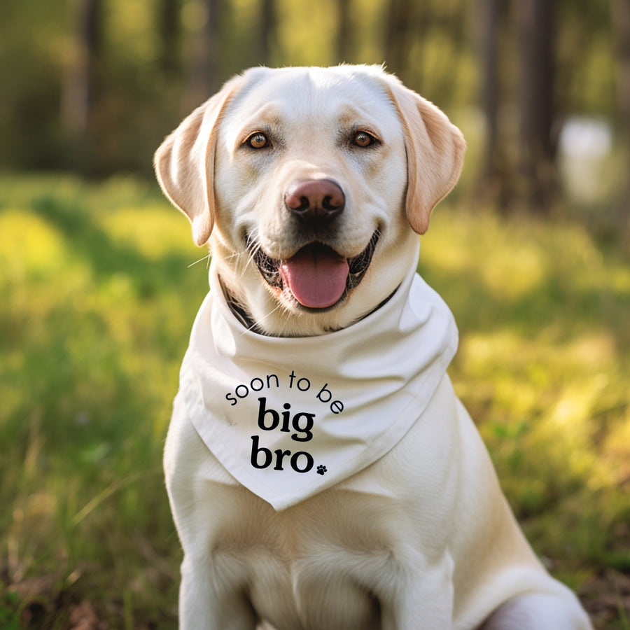 Sibling Cat Bandana for New Pup Reveal Idea for Dog Mom Gift for Dog Lover Personalized Hankie Blue Neckerchief for Cat Big Brother