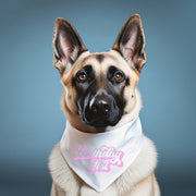 Birthday Bandana for Girl Dog