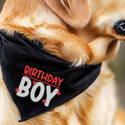 Birthday Bandana for Boy Dog