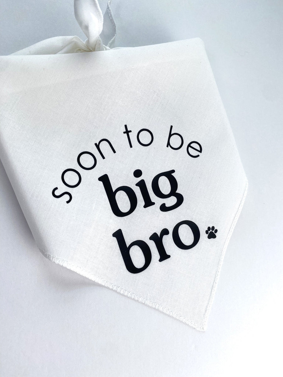 Sibling Cat Bandana for New Pup Reveal Idea for Dog Mom Gift for Dog Lover Personalized Hankie Blue Neckerchief for Cat Big Brother