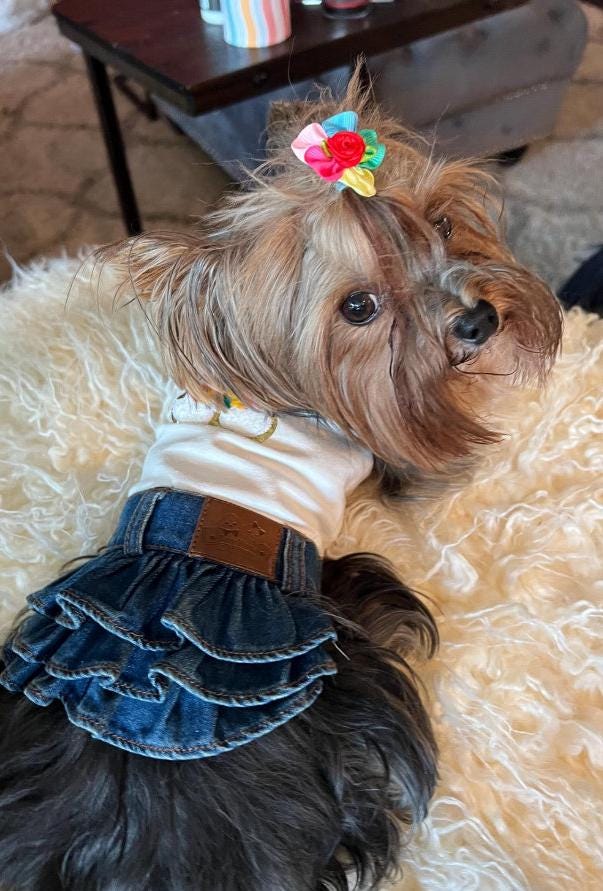 Dog Dress with Pink Bow, Blue Jean Pet Minidress